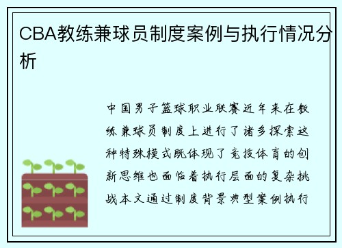 CBA教练兼球员制度案例与执行情况分析